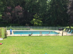 Gîte familial avec piscine chauffée et jardin privatif près des châteaux de la Loire - FR-1-381-393
